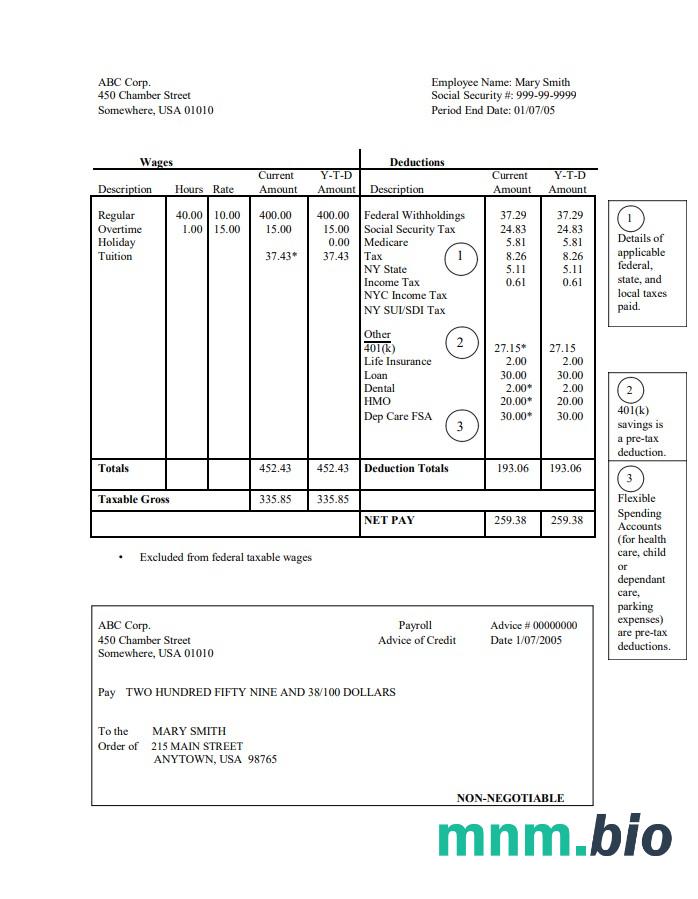 corporation pay stub Word and PDF template